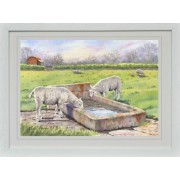 "Lambing Season"- Original Painting
