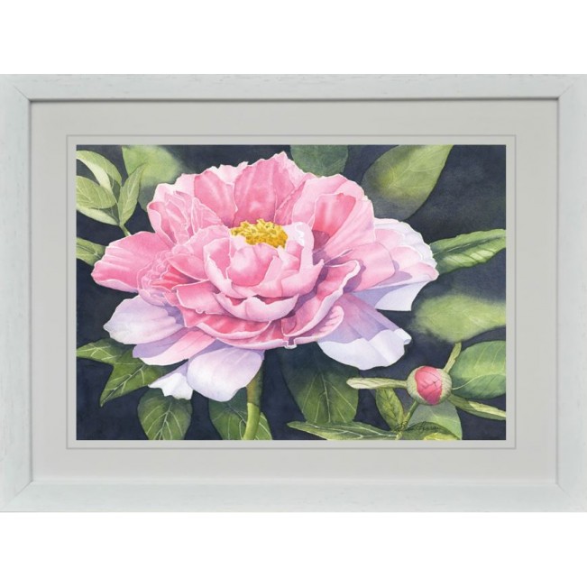 "Pink Peony"