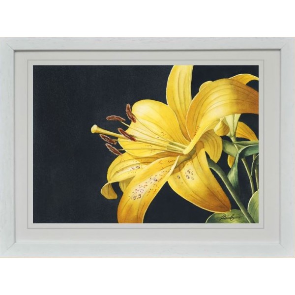 "Yellow Lilly"