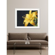"Yellow Lilly"